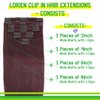 LORIEN Clip in Hair Extensions Real Human Hair, 22 Inch 110g, 99J Burgundy, Clip in 100% Brazilian Remy Human Hair Extensions 8pcs Per Set with 18 Clips Double Weft