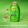 OGX Clarifying Strength + Rosemary Mint Shampoo, Clarifying Shampoo Visibly Helps Remove Oil & Residue to Clear Away Buildup from Oily Hair, Sulfate-Free Surfactants, 13 fl. oz