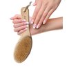 Exfoliating Body Scrubber: Dual-Use for Wet/Dry Exfoliation, Lymphatic Drainage & Cellulite Smoothing - Natural Boar Bristle Dry Brushing Body Brush, Ergonomic Handle, Easy to Clean by Rengöra