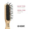 Kent PF21 Narrow Cushion Paddle Hair Brush, Taming Fine Pins Hair Detangle Brush for Long Thick and Curly Hair, Scalp Massager and Growth Stimulator, Wet or Dry Hair Detangling Brush. Made in England