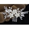 Alilang Bridal Hair Comb with Silvery Tone White Flowers and Pave Crystal Rhinestone