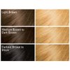 SoftSheen-Carson Dark and Lovely Fade Resist Rich Conditioning Hair Color, Permanent Hair Color, Up To 100 percent Gray Coverage, Brilliant Shine with Argan Oil and Vitamin E, Luminous Blonde, 2 Count