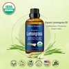 Organic Lemongrass Essential Oil 30 ml - Natural, Pure Lemongrass Oil for Diffuser, Aromatherapy - Lemon Grass Essential Oil for Skin Use, Hair Care - Undiluted - Nexon Botanics