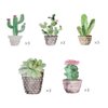 HADEEONG Cactus Hawaiian Party Decorations Hanging Swirl Decorations - Mexican Fiesta Party Decorations Ceiling Decor, Birthday Baby Shower Favor Supplies Decor 30pcs