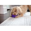 JW Wool-EE Football Handmade Wool All Natural Dog Toy for Fetch