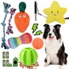 Minrnovas 14 Pack Dog Toys,Puppy Chew Toys for Fun and Teething Cleaning with Sturdy Rope Toys, Interactive Treat Dog Ball and Cute Squeaky Toys,Cotton Squeaky Plush Toys for Medium to Small Dogs