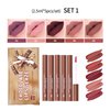 BAISEN DIARY 5 Pcs/set Silky Texture Chocolate Matte Lipsticks Set, Matte Finish, Non-stick, Waterproof Lip Gloss Chocolate Lip Glaze Set, Up to 12 Hours Lip Makeup (Set 01, 5PCS)