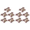 VALICLUD 10PCS Flying Bats Halloween Flying Bat Wind up Bat Outdoor Halloween Decorations for Creepy Decor
