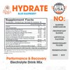 Genius Hydrate Powder Drink Mix Blue Raspberry 50 Servings - Natural Electrolyte Hydration Booster Endurance Supplement with Coconut Water Potassium Magnesium Zinc Sugar Free No Artificial Sweeteners