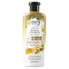 Herbal Essences Bio:renew Honey & Vitamin B Sulfate-Free Conditioner, 13.5 Fluid Ounce