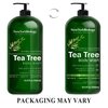New York Biology Tea Tree Body Wash for Men and Women - Moisturizing Body Wash Helps Soothe Itchy Skin, Jock Itch, Athletes Foot, Nail Fungus, Eczema, Body Odor and Ringworm - 16.9 Fl Oz