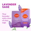 Lume Whole Body Deodorant And Soap - 2.6 Ounce Smooth Solid Stick With 72 Hour Odor Control and 5 Ounce Triple Milled Soap - Aluminum Free, Baking Soda Free and Skin Loving (Lavender Sage)