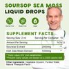 LUCNVEM (2 Pack) Organic Soursop Graviola with Sea Moss Liquid Drops, Soursop Bitters Liquid Rich in Multivitamin for Natural Antioxidant, Immune Boost, Cell Support & Regeneration, Pineapple Flavor