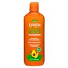 Cantu Avocado Hydrating Shampoo, Sulfate-Free, 13.5 Ounce (Packaging May Vary)