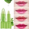 DISAAR BEAUTY 99% Aloe Vera Moisturizing Lipstick Lip Balm Lines Desalinating Nature Health Tasteless 10g