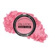 Palladio Baked Blush, Highly Pigmented Shimmery Formula, Easy to Blend and Highly Buildable, Apply Dry for a Natural Glow or Wet for a Dramatic Luminous Look, Long Lasting for All day Wear, Blushin