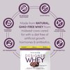 Designer Wellness, Designer Whey, Natural Whey Protein Powder with Probiotics, Fiber, and Key B-Vitamins for Energy, Gluten-Free & Kosher, Double Chocolate, 2 lb