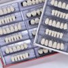 168 Pcs Dental Synthetic Resin Tooth Denture 6 Sets False Teeth 22 A2 Upper Lower Shade Dental for Halloween Horror Teeth (22 A2)