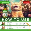 Natural Antibiotics for Cats | Cat Antibiotics | Supports Cat Allergy Relief | Cat Itch Relief | Cat Allergy Support | Cat Multivitamin | Pet Antibiotics | Cat Antibiotics | 2 Oz