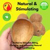 Bonka Bird Toys 3275 Pk4 Half Shell Coconuts with Fiber Bird Parrot Foot Toy Craft Natural Forage Chewing Party Arts Craft Parrot Macaw African Grey