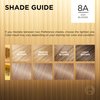 L'Oreal Paris Superior Preference Fade-Defying + Shine Permanent Hair Color, 8A Ash Blonde, Pack of 1, Hair Dye