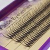 Scala 120Ppcs Fish Tail False Lashes 0.07 Thickness 20 Roots Hair C curl Eyelash Extension Strip False Eyelashes Makeup Individual Lashes (10mm)