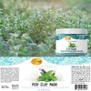 SPA REDI - Clay Mask, Mint and Eucalyptus, 16 Oz - Pedicure and Body Deep Cleansing, Skin Pore Purifying, Detoxifying and Hydrating