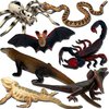 Gemini&Genius 7Pcs Reptile Animal Toys for Kids, Amphibians Desert Animal Toys with Komodo Dragon Lizard Snake Spider Chameleon, Cold Blooded Animal Figures Toy Set, Play and Display Gifts for Kids