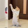 YuanHolumid Grey and Red Interactive Cat Toy, Hanging Self-Play Little Mouse Shaped Toys Cat Toy, Built-in Sound, Relieve Boredom, Hanging Squeak Mouse Stretchy Feather Plush Cat Toy Grey
