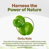 Gotu Kola 10:1 Extract Powder (8 oz), Centella Asiatica | Gluten Free and Non-GMO | Ayurvedic Herbal Supplement