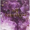 Colourpop ColourPop Eyeshadow Palette ALL AMETHYST - Range of Purple Shades, 0.3 Ounce