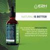 E2H Chlorophyll Liquid Drops - All-Natural Flavored Energy Booster, Immune System Support and Internal Deodorant - Vegan - Gluten Free - Non-GMO - 2 Fl Oz