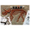 Eyewitness Kits Perfect Cast Dinoworks 15" Triceratops Cast, Paint, Display and Learn Craft Kit
