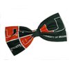 Sports Themes Hair Bow Collection (Alligator Clip, Miami/Green)