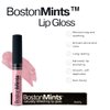 Boston Mints Swanboat Lip Gloss (.25oz) -Vegan, gluten-free, cruelty-free formula with Aloe, Vitamins C & E, and a refreshing hint of spearmint extract for soft and hydrated lips.