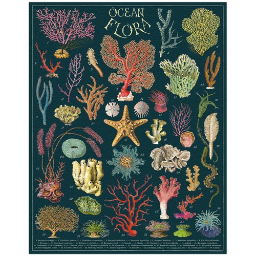 Cavallini 1000 Piece Puzzle, Ocean Flora (PZL/OCNFLR)