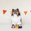 Fringe Studio Mini Dog Toy Set, Owl-O-Ween, Set of 3 (289404), Multi-Colored