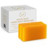 GoldSnailRX KOJIC ACID SOAP Original Dark Spot Remover (PACK OF 2 W/BAG) Authentic Kojic Acid Soap For Body Whitening-Kojic Acid Soap with Vitamin C,Tumeric, infused w/Hyaluronic Acid,Shea Butter