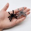 Black and Grey Realistic Hairy Small Plastic Fake Spiders Scary Joke Prank for Party Favors Creepy Halloween Decoration, 20 PCS by Baryuefull