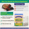 ELEGENZO Mouse Repellent Pouches with Peppermint Oil - Repels Mice, Rats, Squirrels, Roaches, Ants, Spiders, Moths (1 Count (Pack of 10))