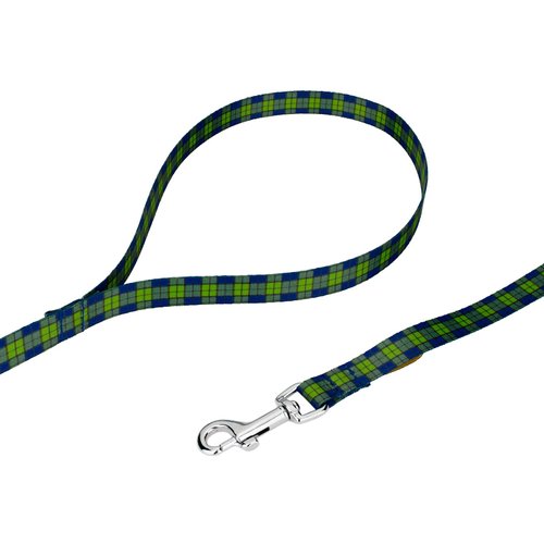 Country Brook Petz - 1/2 Inch Blue and Green Plaid Dog Leash - 4 Feet