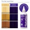 Kiss Tintation Semi-Permanent Hair Color Treatment 148 mL (5 US fl.oz) (Purple Passion)