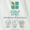 Biolage Scalp Sync Anti-Dandruff Shampoo | Targets Dandruff, Controls The Appearance of Flakes & Relieves Scalp Irritation | Paraben Free | For Dandruff Control | Vegan | Salon Shampoo | 13.5 Fl. Oz