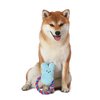 Peeps for Pets Bunny 6 Inch Blue Plush Rope Pull Toy for Dogs | Blue Dog Toy from Peeps, Plush Fabric Dog Toys | Small Squeaker Dog Toy with Rope (FF16024)