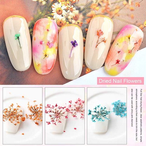 EBANKU 12 Colors 3D Dried Flowers Nail Art Decals, Colorful Dried Gypsophila Flowers Nail Art Stickers Decoration, 3D Nail Decoration for UV Gel/Acrylic Nail Design