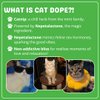 Cat Dope Catnip, 100% Natural Cat Nip Blend That Energizes and Excites Cats, Safe & Non-Addictive Catnip Treats Used For Cat Play, Cat Training, & New Catnip Toys