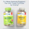 SOLARAY L-Lysine, Free-Form 1000 mg, Essential Amino Acid Immune Support Supplement with Vitamin C 1,000 mg and Zinc 25 mg, Value Size, Lab Verified, 60-Day Guarantee, 60 Servings, 180 Tablets