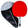 Palio Expert 3.0 Table Tennis Racket & Case - ITTF Approved, Beginner Ping Pong Bat