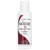 Adore Semi Permanent Hair Color - Vegan and Cruelty-Free Red Hair Dye - 4 Fl Oz - 079 Burgundy Envy (Pack of 2)
