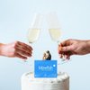 Blowfish for Hangovers | 10 Single Dose Envelopes | Perfect for Welcome Bags, Hangover Kits, Wedding & Bachelorette Favors | Fast Hangover Relief | Starts to Work in 15 Minutes (10 Pack)